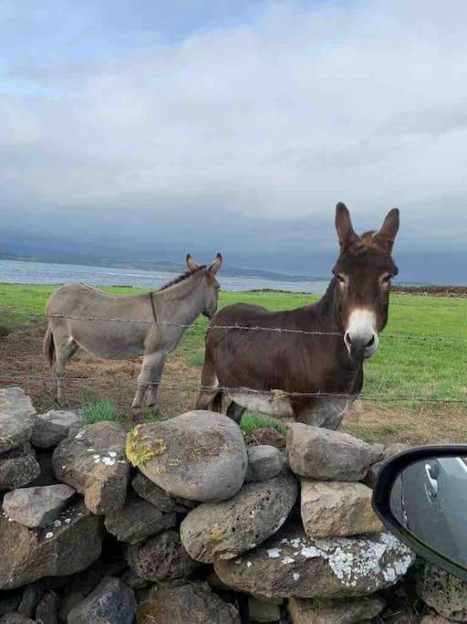 Bumblebee Cottage Donegal Town Exterior foto